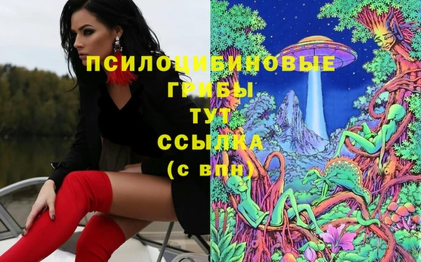 амфетамин Алексеевка