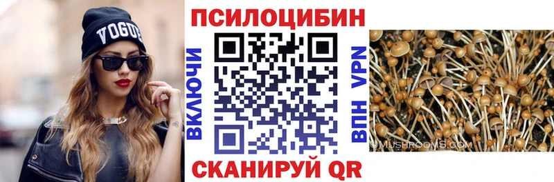 Галлюциногенные грибы Cubensis Владивосток
